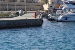 IMG_0res 2